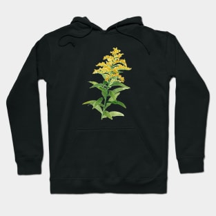 August 13th birthday flower Hoodie